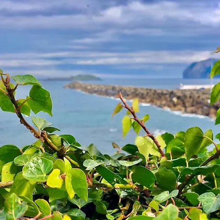 Daire Artza Ii Con Vistas Al Puerto Bermeo