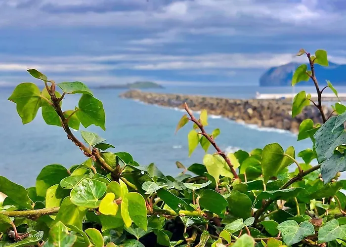 Апартаменты Artza Ii Con Vistas Al Puerto Бермео